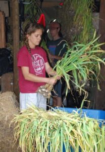 Learning A Lot from the Happy Wanderers Image